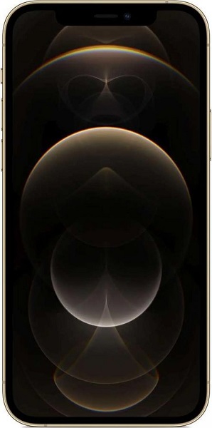 Apple iPhone 12 Pro Max 256GB A2412 gold (золотой)